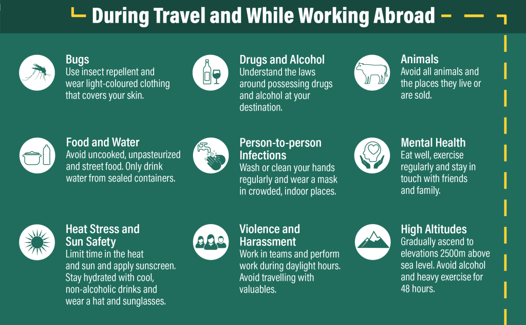 Infographic that highlights the health and safety risks that travel risk management should take into account.